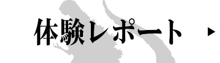 体験レポート