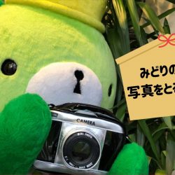 年末年始も休まず営業！東京ミステリーサーカスでお正月を楽しもう！ 「Happy New Year TMC！2022」