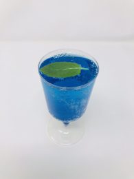 心源流・水見式ドリンク